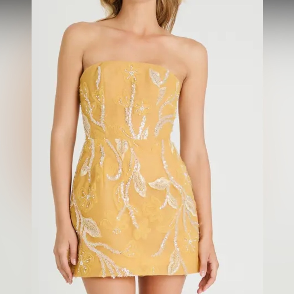 Marisa Floral Strapless Fit & Flare Mini dress - worn once